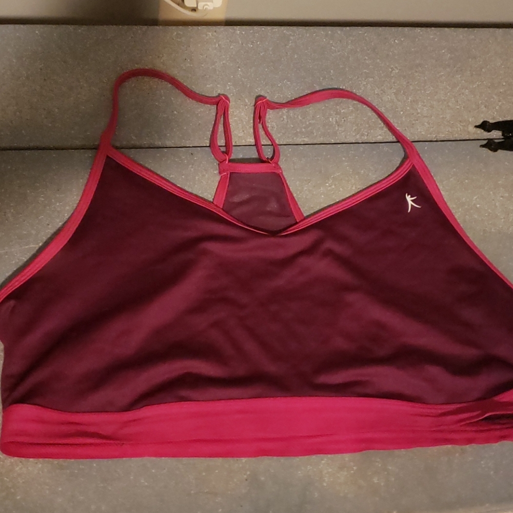 Danskin sports bra